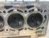 Cylinder Head SEAT IBIZA IV ST (6J8, 6P8)