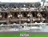 Cylinder Head BMW 6 Convertible (E64)