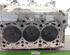 Cylinder Head VW POLO (6R1, 6C1), VW POLO Van (6R)