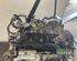 Bare Engine NISSAN PATHFINDER III (R51)