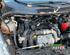 Bare Engine FORD FIESTA VI (CB1, CCN)