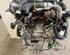 Bare Engine FORD FIESTA VI (CB1, CCN)