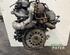 Motor kaal RENAULT VEL SATIS (BJ0_)