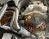 Bare Engine FORD FOCUS IV Turnier (HP)