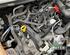 Bare Engine FORD FIESTA VI (CB1, CCN)