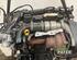 Motor kaal FORD FOCUS III