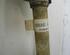 Drive Shaft FIAT Punto (188), FIAT Punto Kasten/Schrägheck (188)