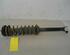 Suspension Strut FORD Fiesta IV (JA, JB)