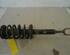 Suspension Strut VW Passat (3B2)