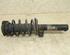 Suspension Strut VW Touran (1T1, 1T2)