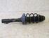 Suspension Strut VW Golf IV (1J1)