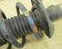 Suspension Strut VW Passat Variant (3C5)