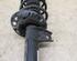 Suspension Strut VW GOLF PLUS (5M1, 521)