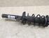 Suspension Strut VW GOLF PLUS (5M1, 521)