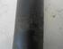 Shock Absorber RENAULT Clio II (BB, CB)