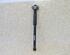 Shock Absorber VW Golf IV (1J1)