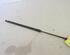 Gas Spring NISSAN Note (E11, NE11)