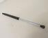 Gas Spring RENAULT Clio II (BB, CB)