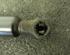 Gas Spring RENAULT Clio II (BB, CB)