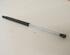 Gas Spring RENAULT Clio II (BB, CB)