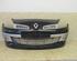 Bumper RENAULT Clio III (BR0/1, CR0/1)