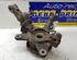 Stub Axle RENAULT KANGOO Express (FW0/1_)