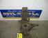 Stub Axle RENAULT Megane II Kombi (KM0/1)