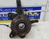 Stub Axle RENAULT KANGOO Express (FW0/1_)