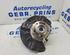 Stub Axle MERCEDES-BENZ B-Klasse (W247)