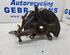 Stub Axle SUZUKI ALTO (FF)