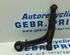 Ball Joint FIAT Panda (169)