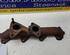 Exhaust Manifold RENAULT Clio III (BR0/1, CR0/1)