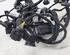 Wiring Harness VW POLO (6R1, 6C1)