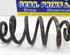 Coil Spring AUDI A6 (4F2, C6)