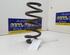 Coil Spring TOYOTA RAV 4 IV (A4)