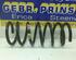 Coil Spring FIAT Panda (312, 319)