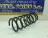 Coil Spring FIAT Panda (312, 319)