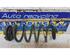 Coil Spring RENAULT Twingo III (BCM)