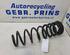 Coil Spring FORD TOURNEO CONNECT / GRAND TOURNEO CONNECT V408 MPV