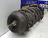 Suspension Strut OPEL Tigra Twintop (--)