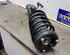 Suspension Strut BMW X5 (E53)