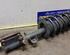 Suspension Strut BMW X5 (E53)