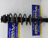 Suspension Strut LANCIA Musa (350), FIAT Idea (350)