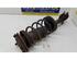 Suspension Strut TOYOTA Yaris (NCP1, NLP1, SCP1)