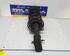 Suspension Strut RENAULT KANGOO Express (FW0/1_)