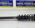 Suspension Strut FORD KA (RB)