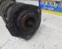 Suspension Strut RENAULT KANGOO Express (FW0/1_)