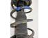 Suspension Strut HYUNDAI i10 (PA)