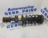 Suspension Strut VOLVO XC90 I (275)