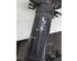 Suspension Strut AUDI A3 (8L1)